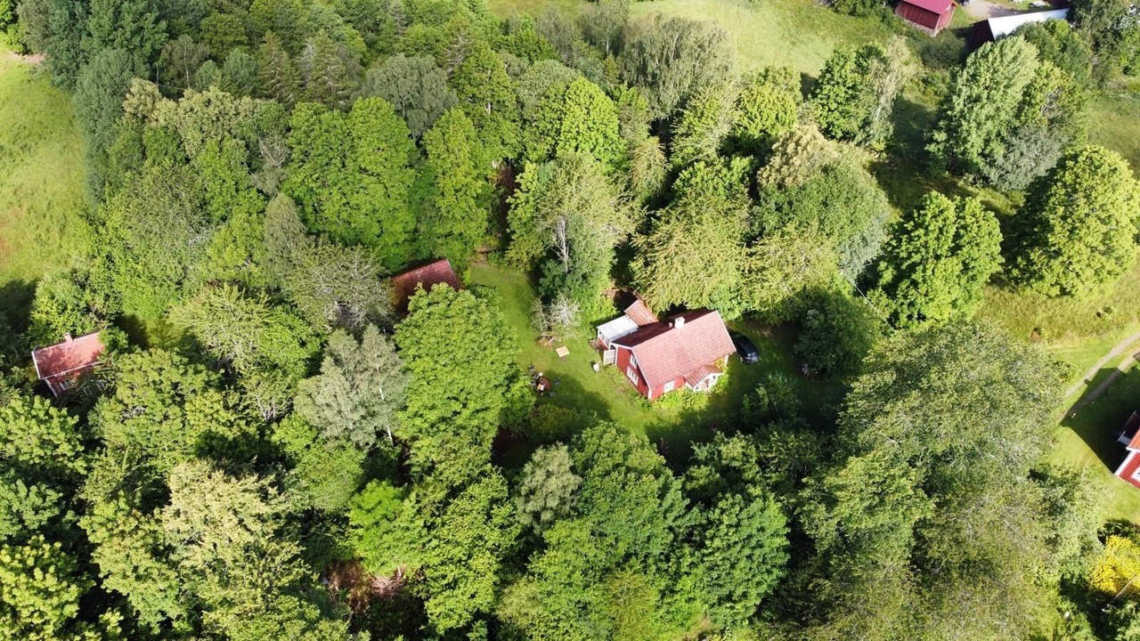 Photo of Outdoor in Tived