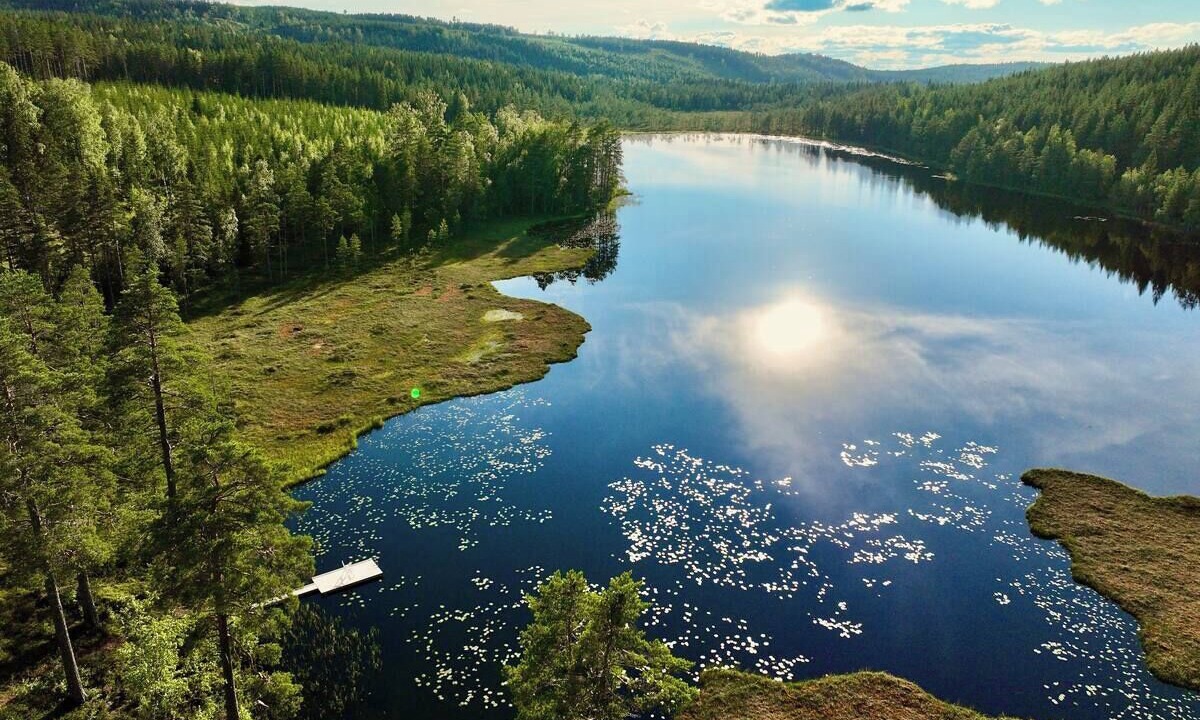 Photo of Outdoor in Viksjofors