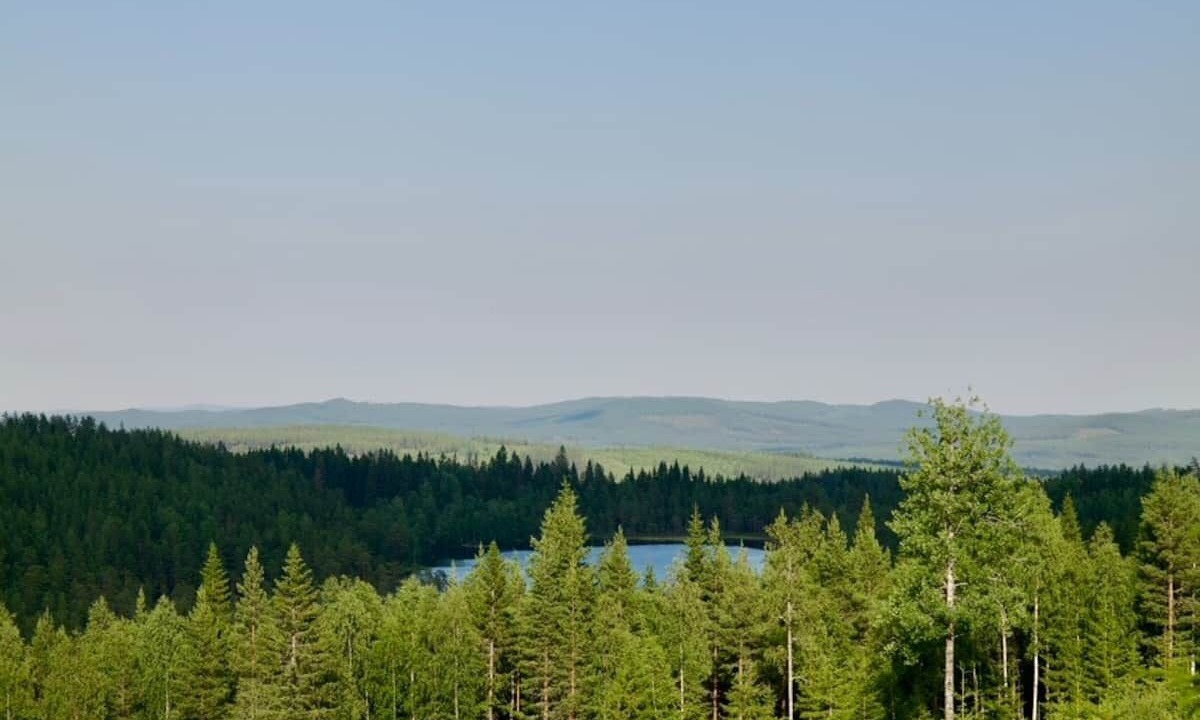 Photo of Others in Viksjofors