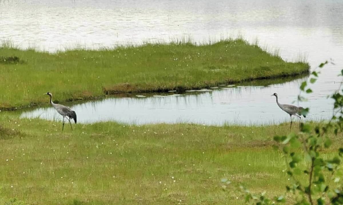 Photo of Outdoor in Viksjofors