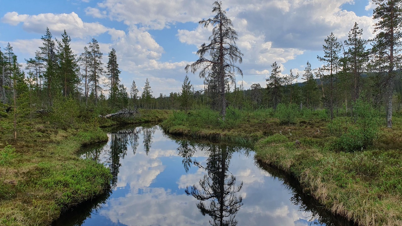 Photo of Outdoor in Idre