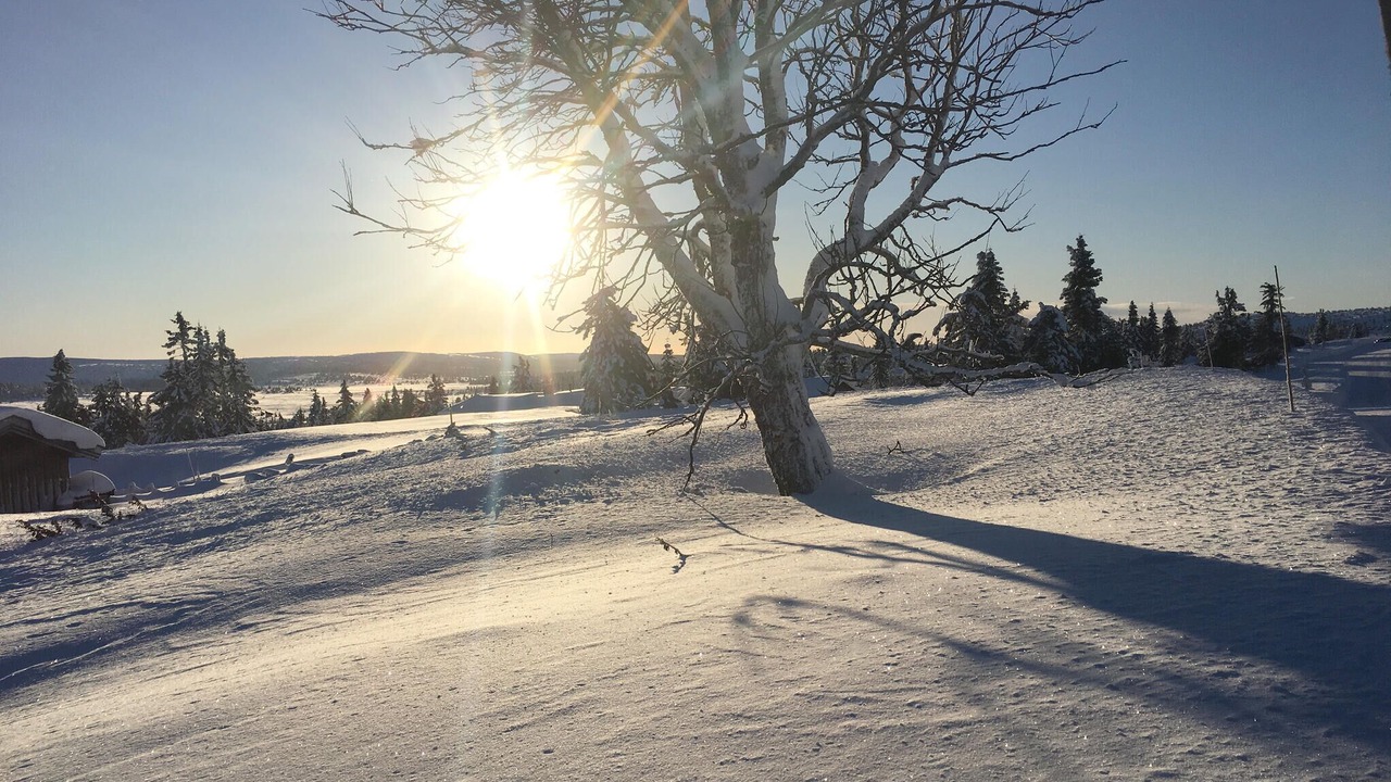 Photo of Others in Lillehammer