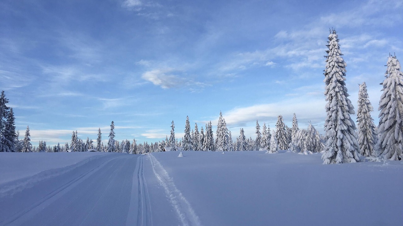 Photo of Others in Lillehammer