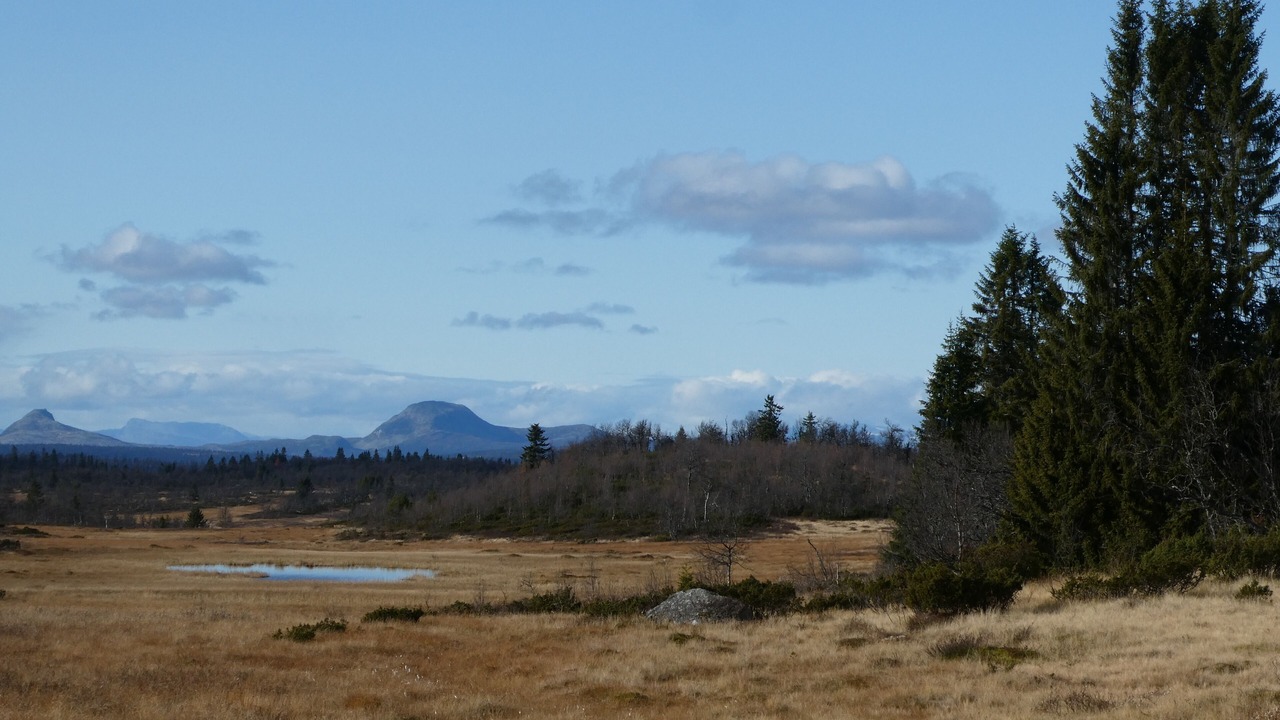 Photo of Outdoor in Etnedal