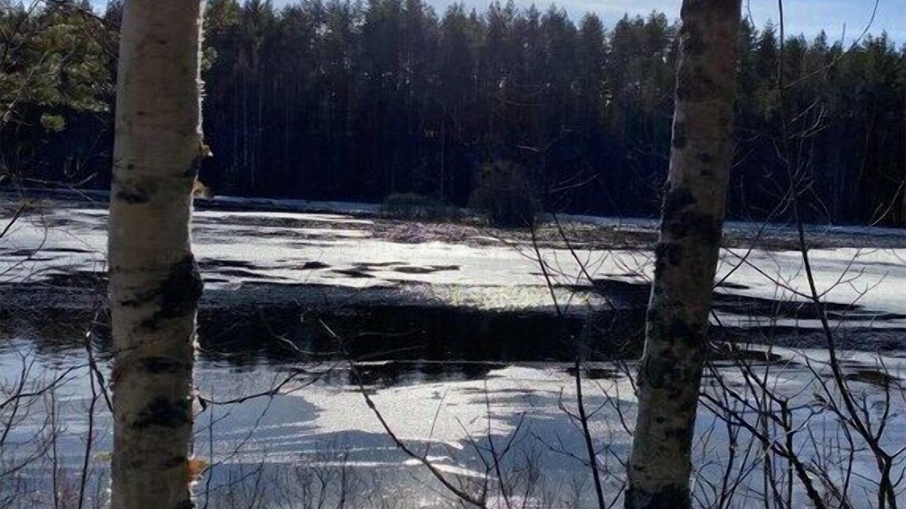 Photo of Others in Vimmerby
