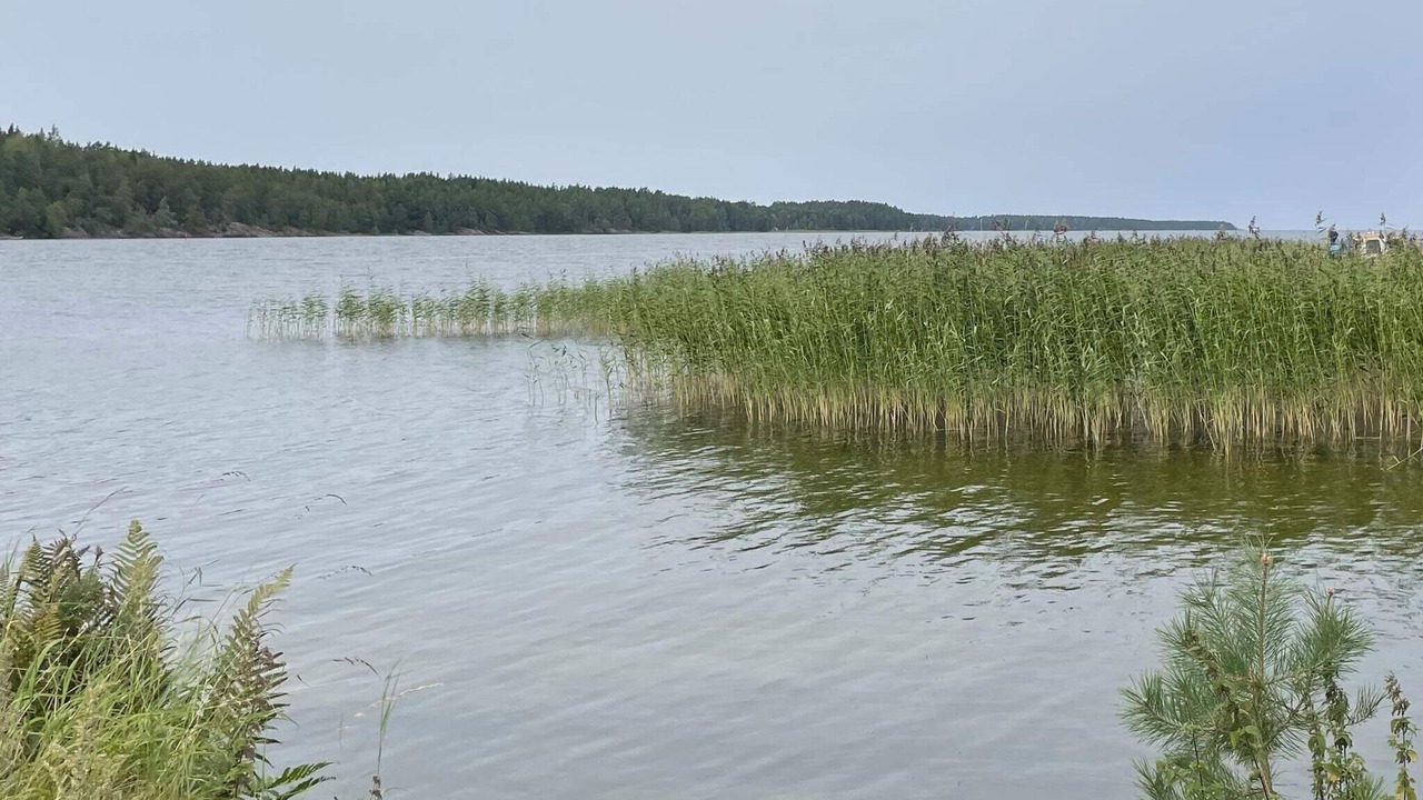 Photo of Others in Mariestad Municipality