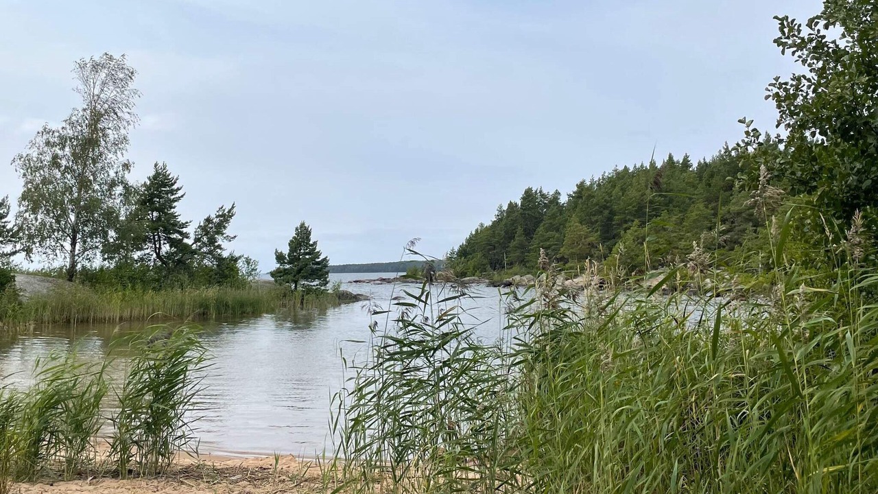 Photo of Others in Mariestad Municipality
