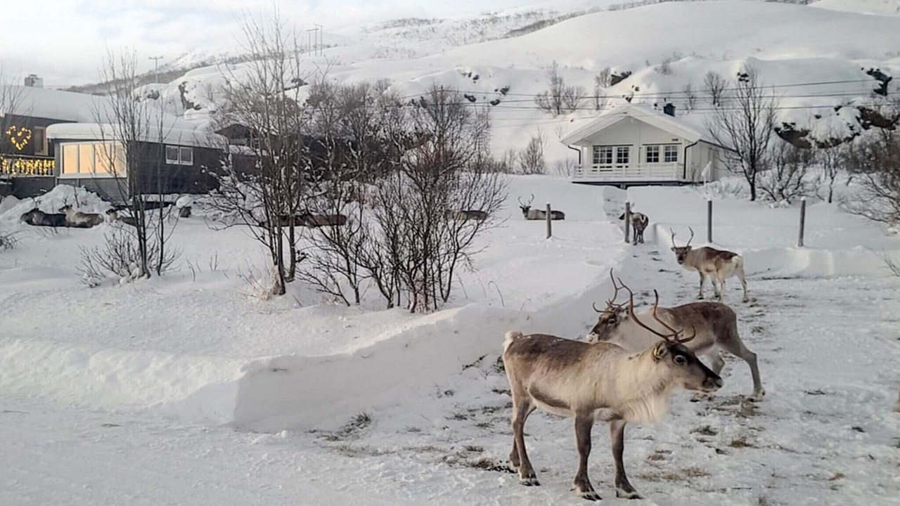 Photo of Outdoor in Karlsy