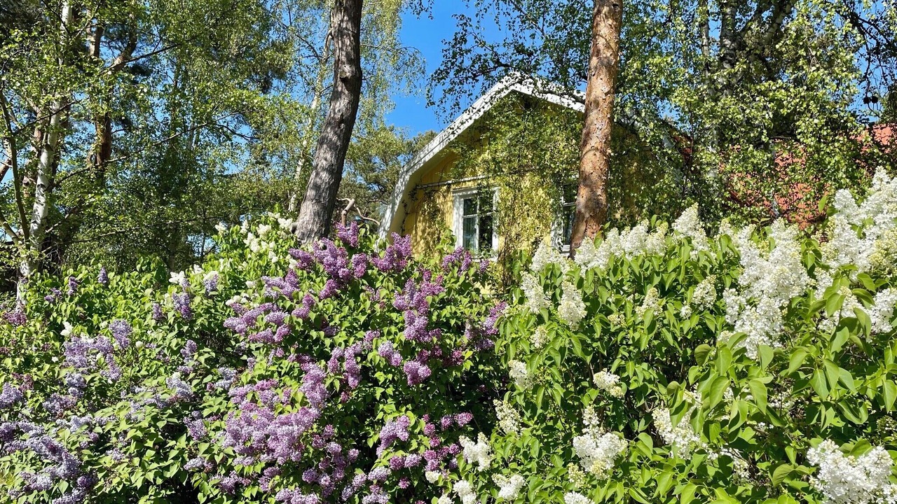 Photo of Outdoor in Ljunghusen