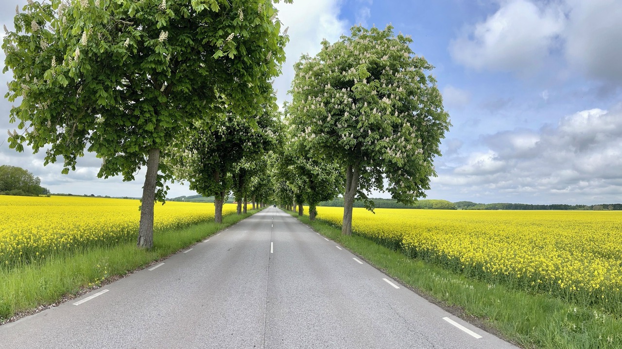 Photo of Outdoor in Ljunghusen