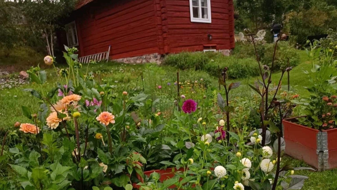Photo of Outdoor in Nykvarn