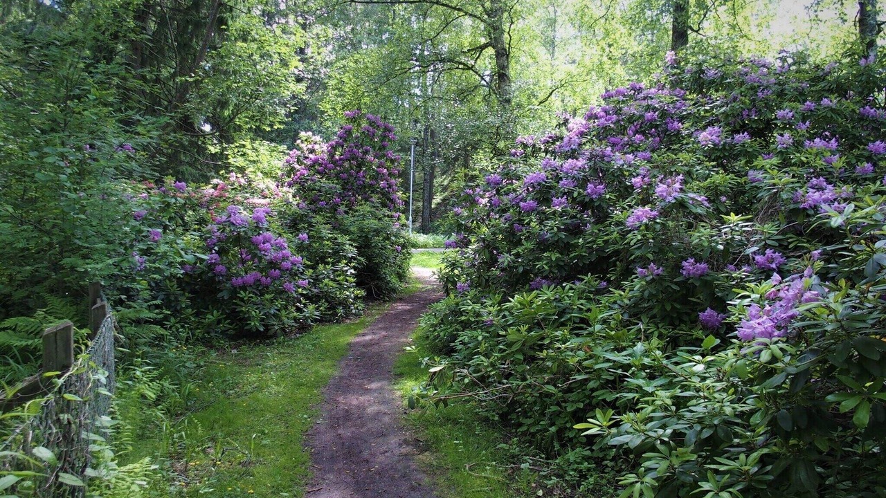 Photo of Outdoor in Sodertalje