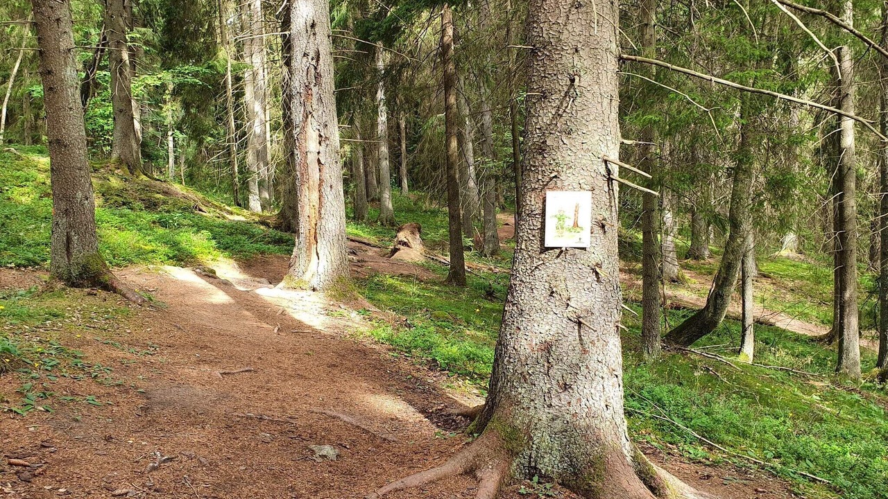 Photo of Others in Sodertalje