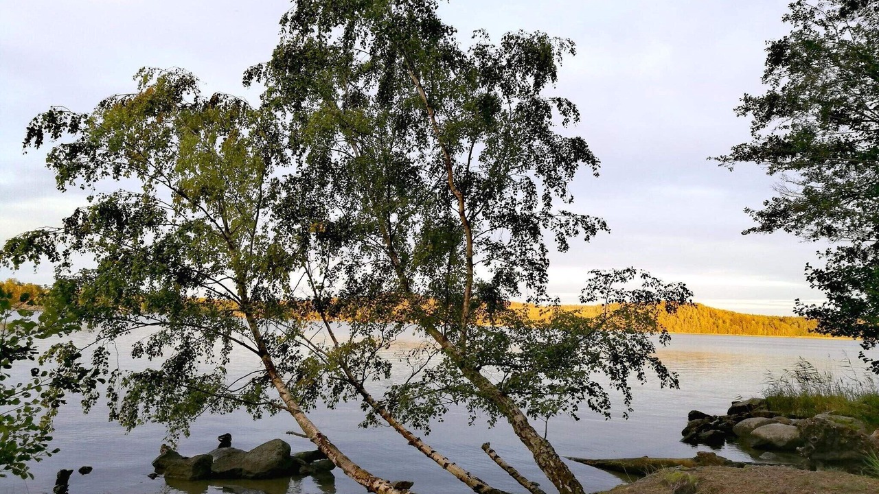 Photo of Others in Sodertalje
