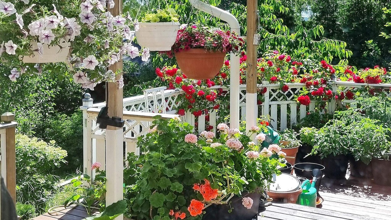 Photo of Outdoor in Arsta Havsbad