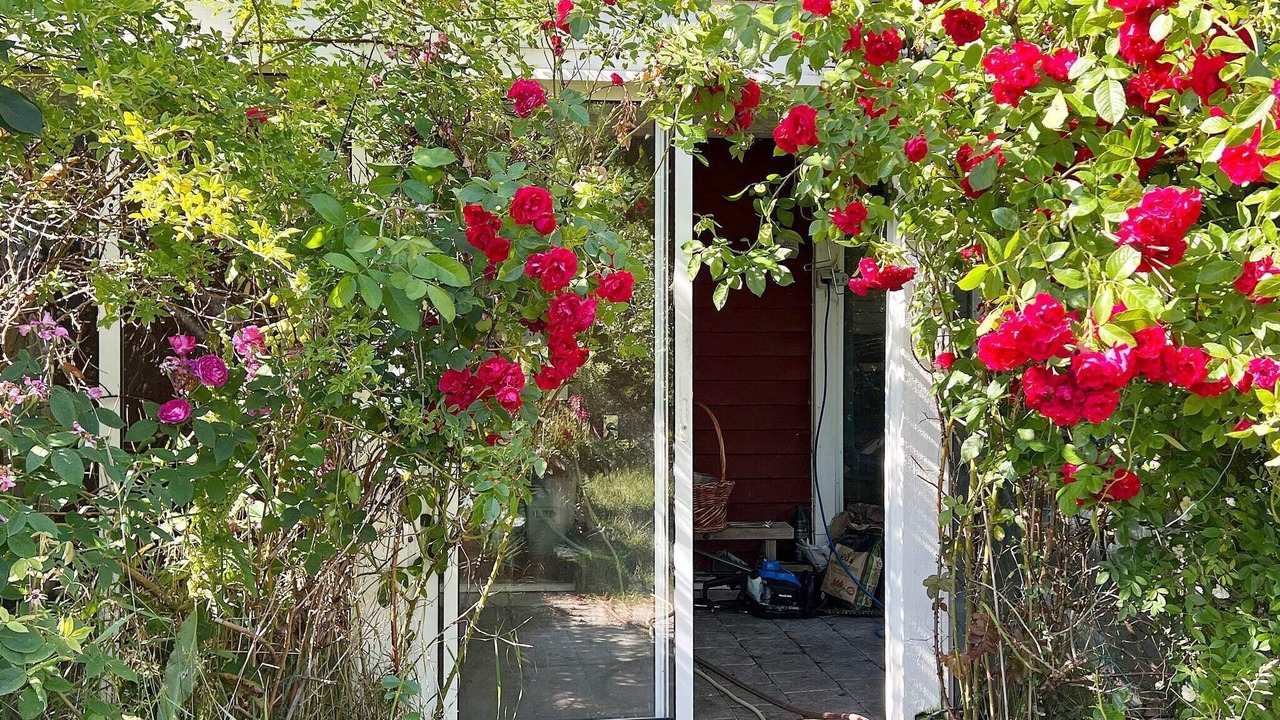 Photo of Outdoor in Arsta Havsbad