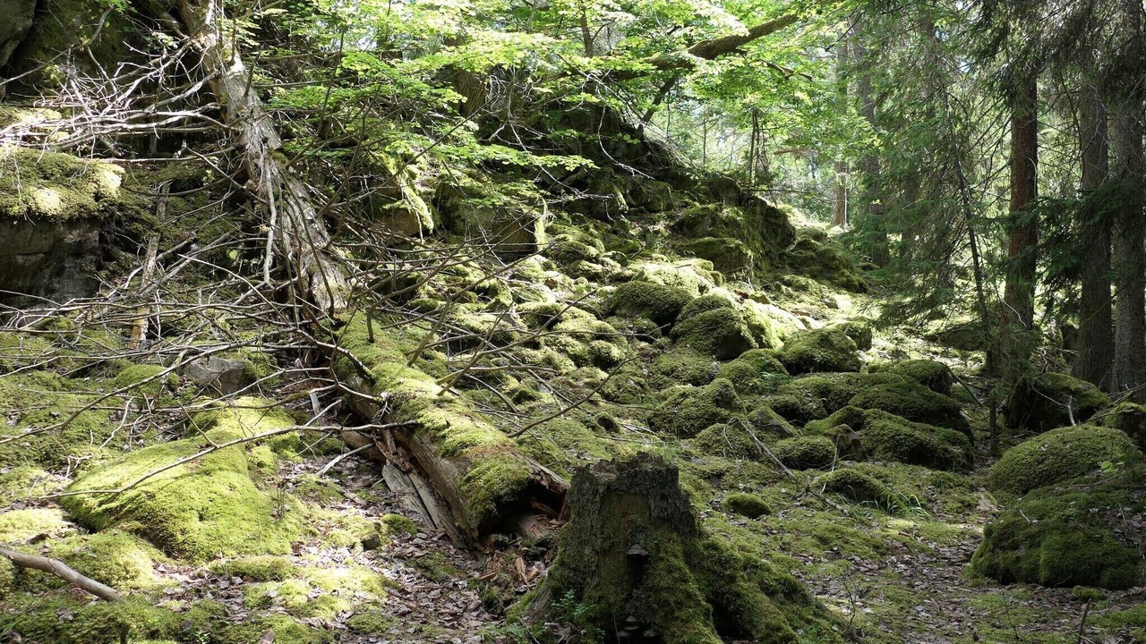 Photo of Others in Varmdo