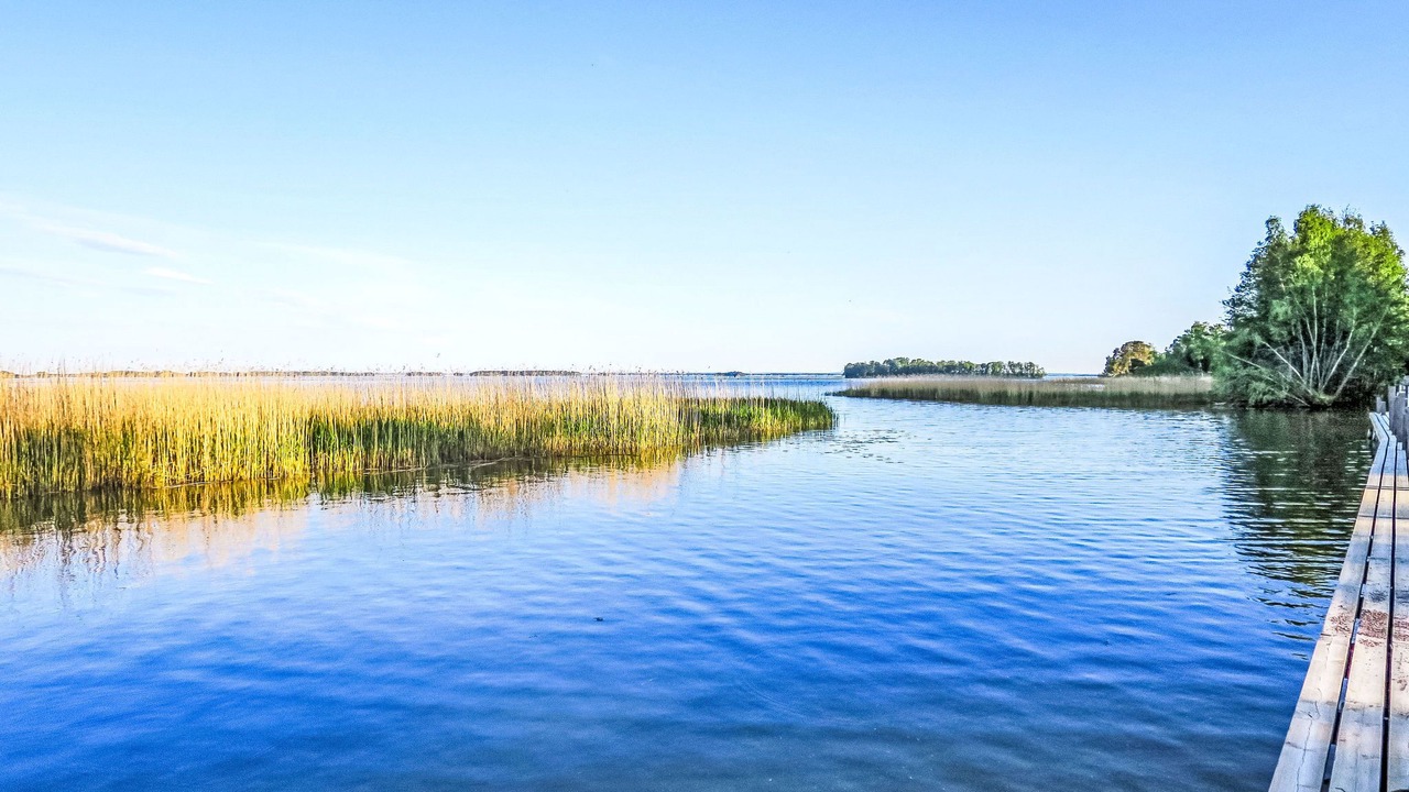 Photo of Others in Arboga