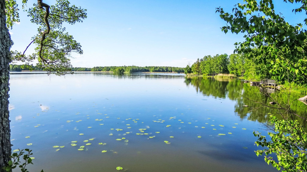 Photo of Others in Arboga
