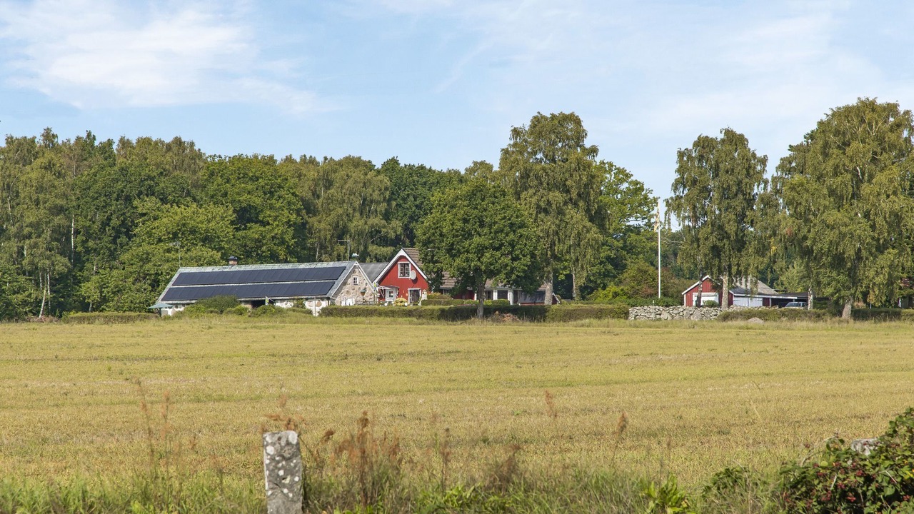 Photo of Others in Falkvik