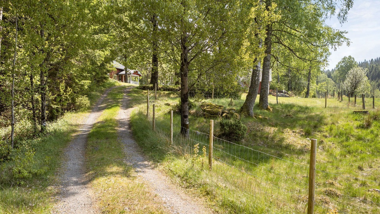 Photo of Outdoor in Torestorp