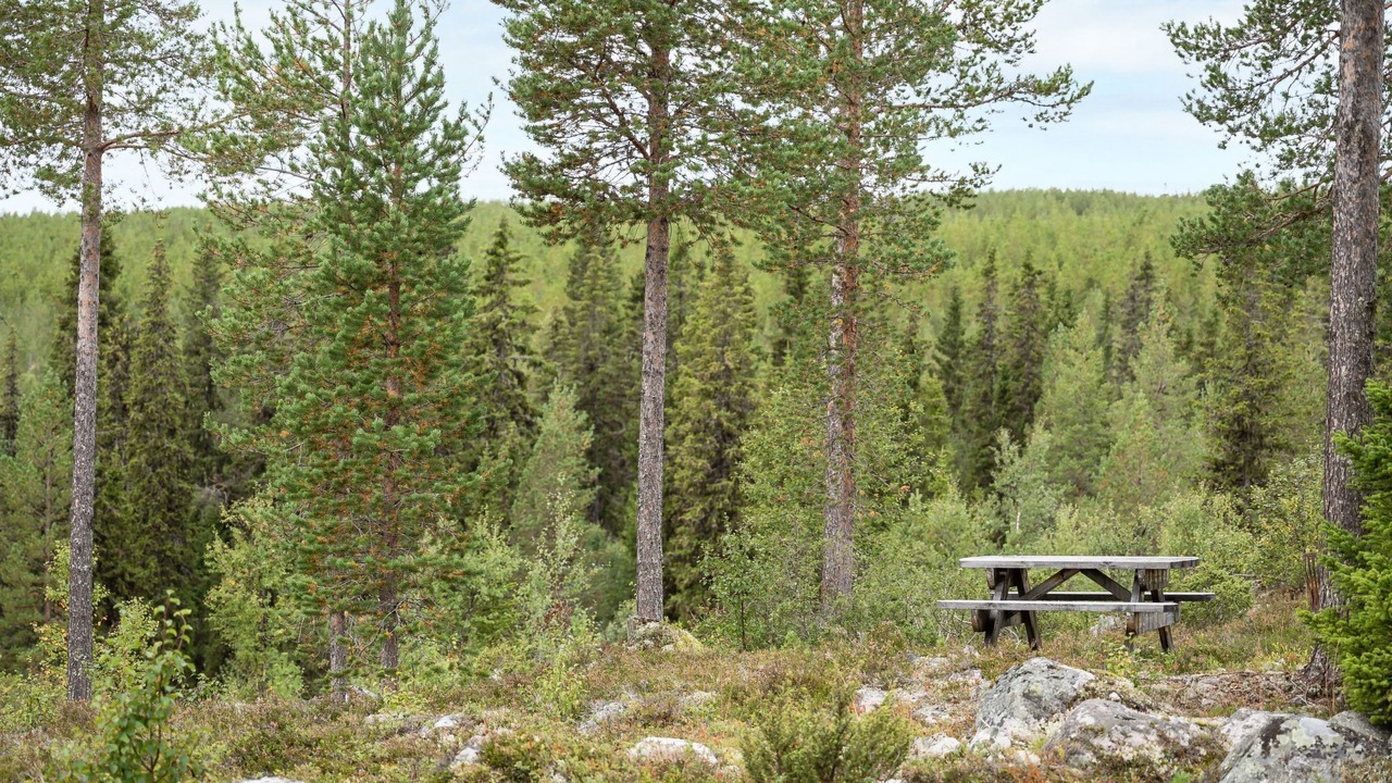 Photo of Outdoor in Lofsdalen