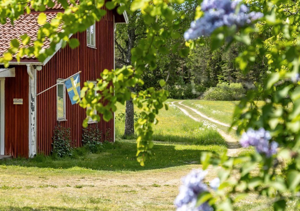 Photo of Others in Animskog