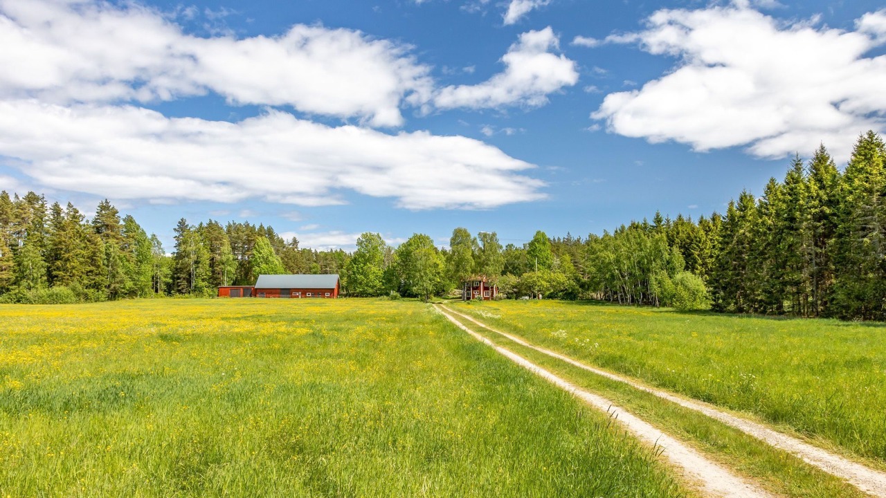 Photo of Outdoor in Animskog