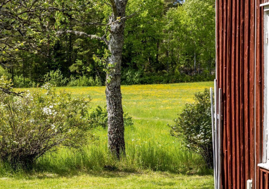 Photo of Outdoor in Animskog