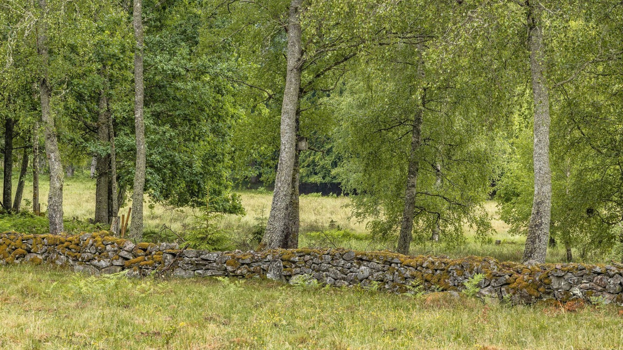 Photo of Outdoor in Kyrkhult