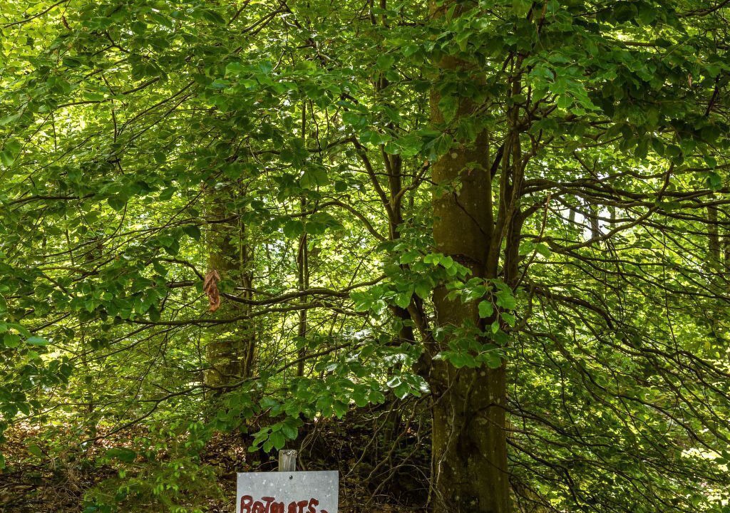 Photo of Outdoor in Olofstrom