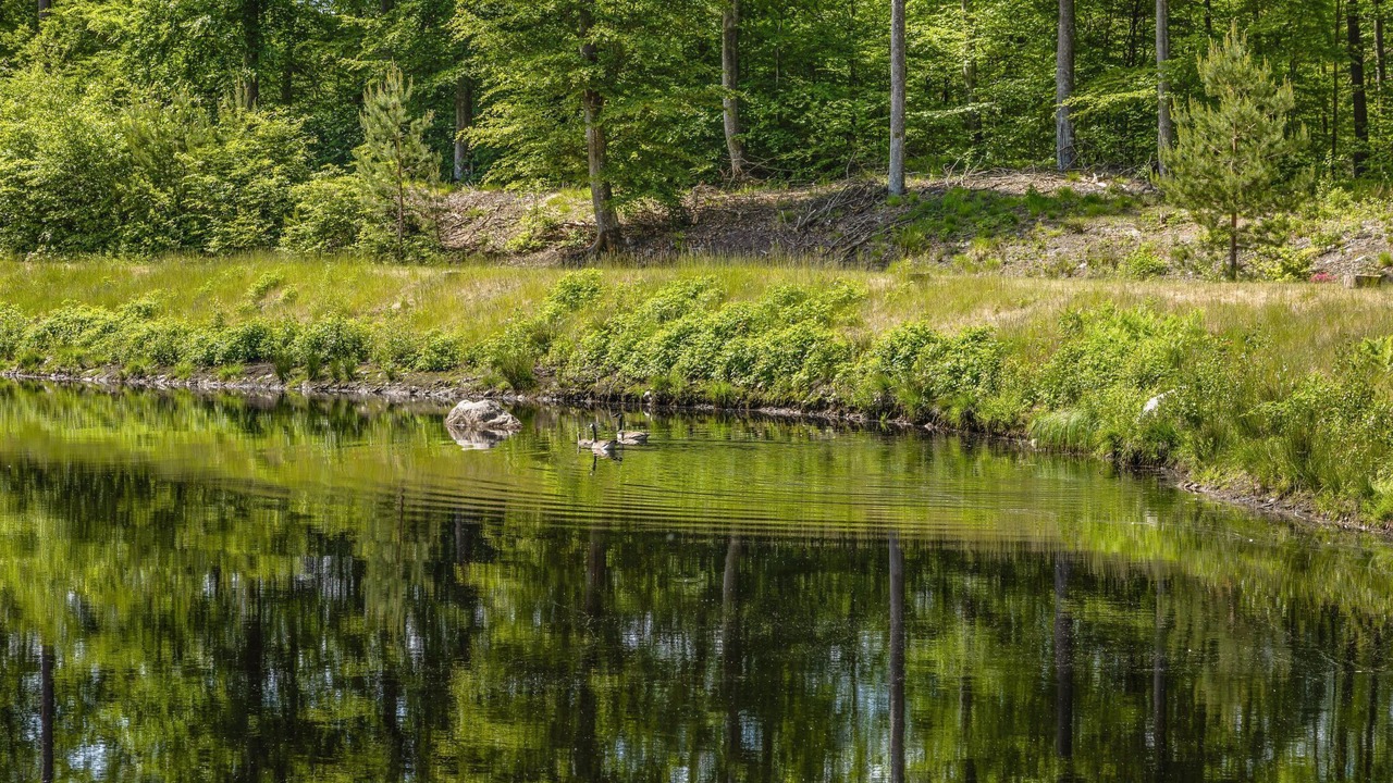 Photo of Outdoor in Olofstrom