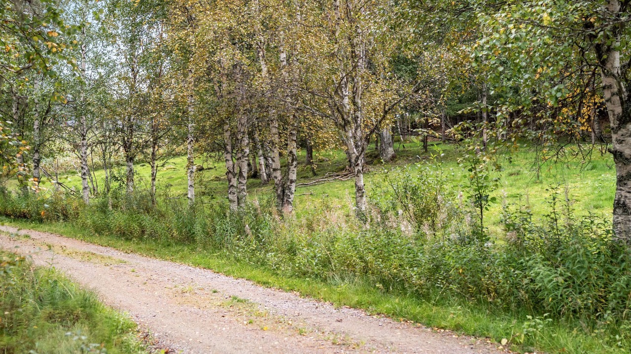 Photo of Outdoor in Vemhan