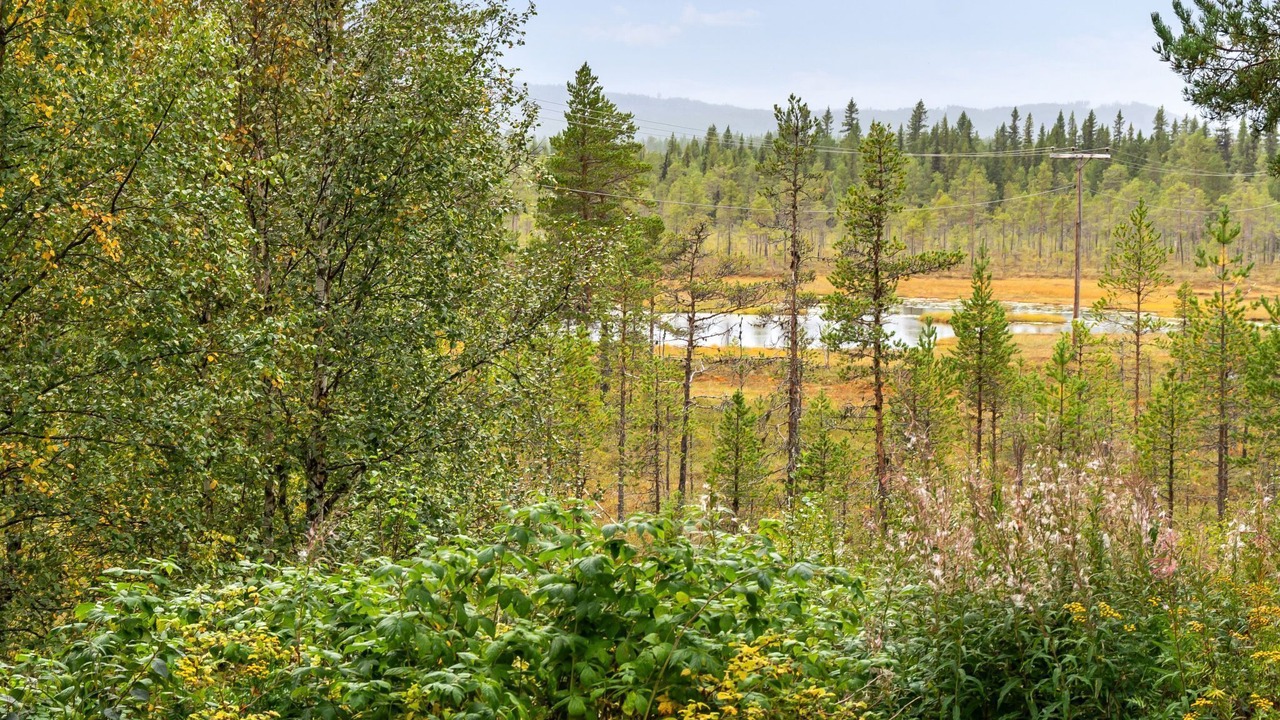 Photo of Outdoor in Vemhan