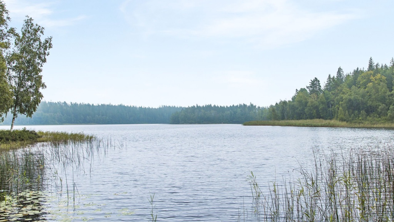 Photo of Others in Eringsboda