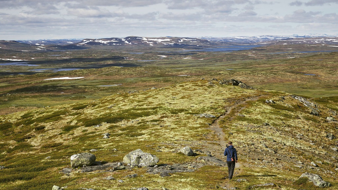 Photo of Others in Geilo