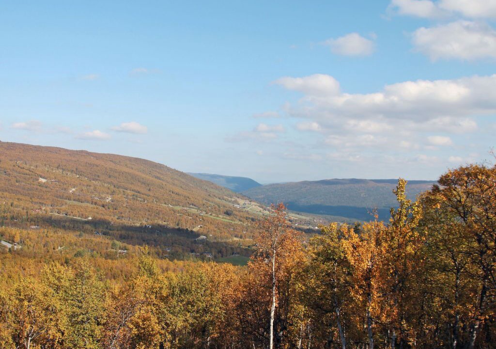 Photo of Others in Geilo