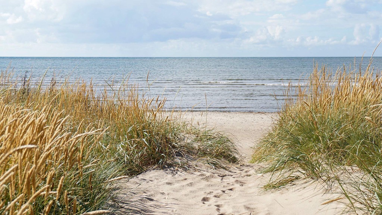 Photo of Others in Falkenberg