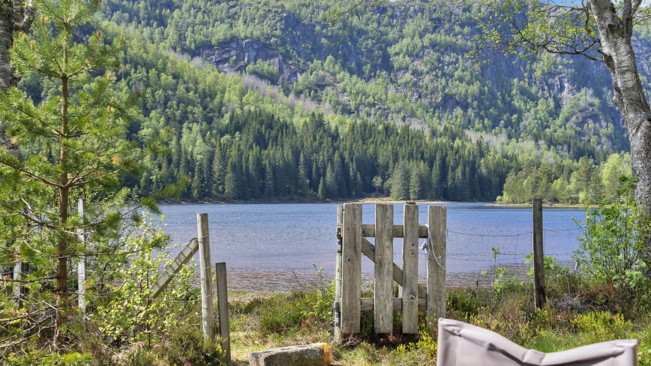 Photo of Others in Aseral