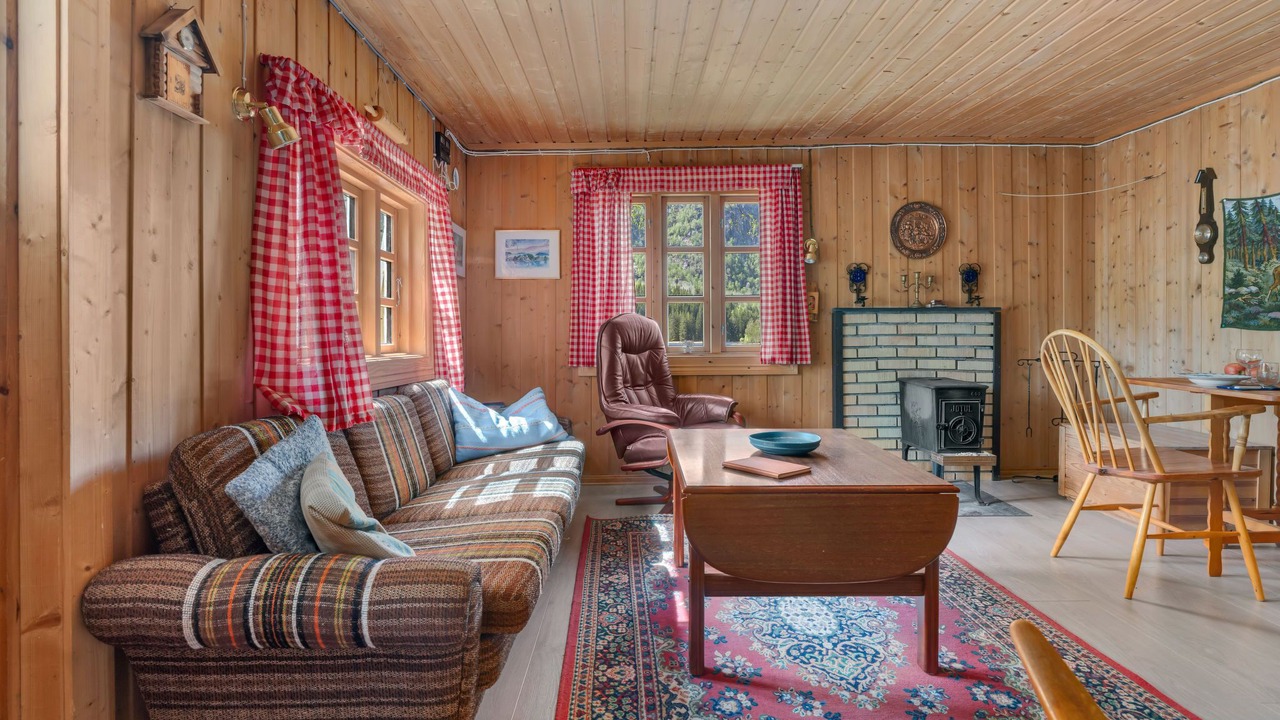 Photo of Livingroom in Aseral
