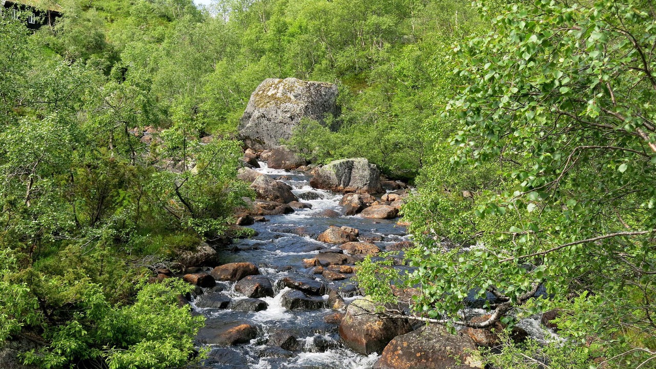 Photo of Others in Ljosland