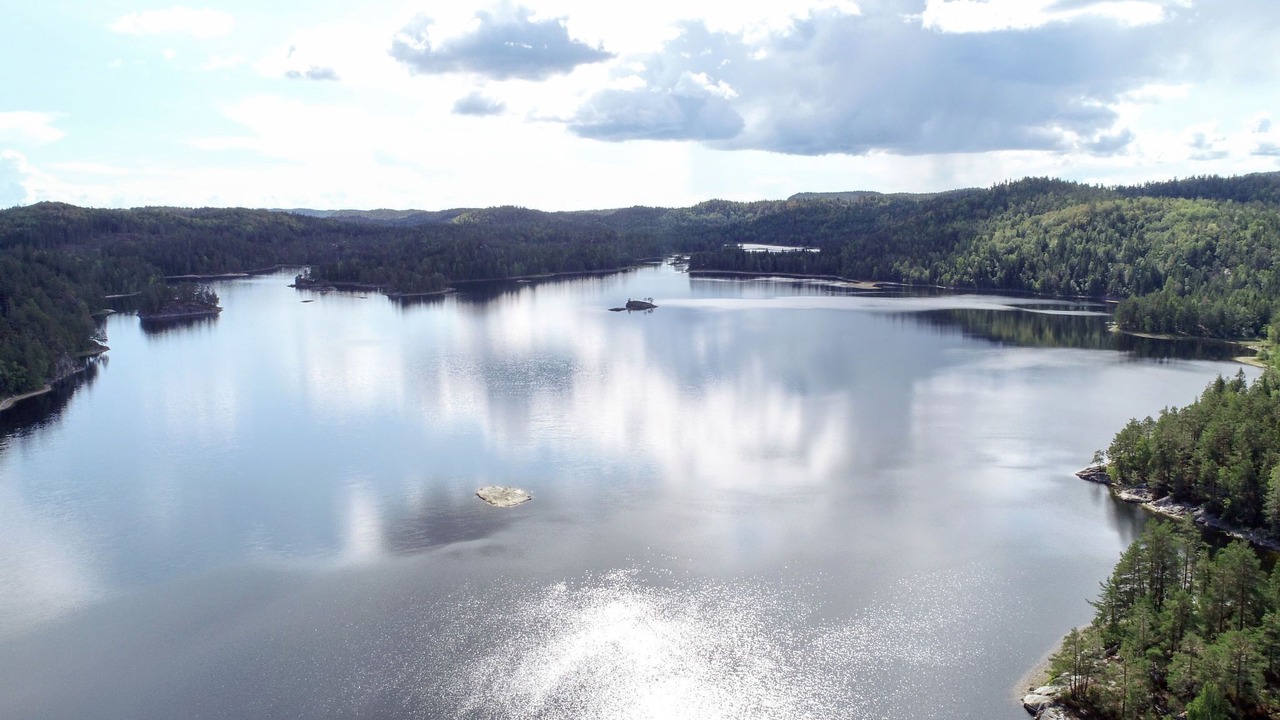 Photo of Others in Arendal