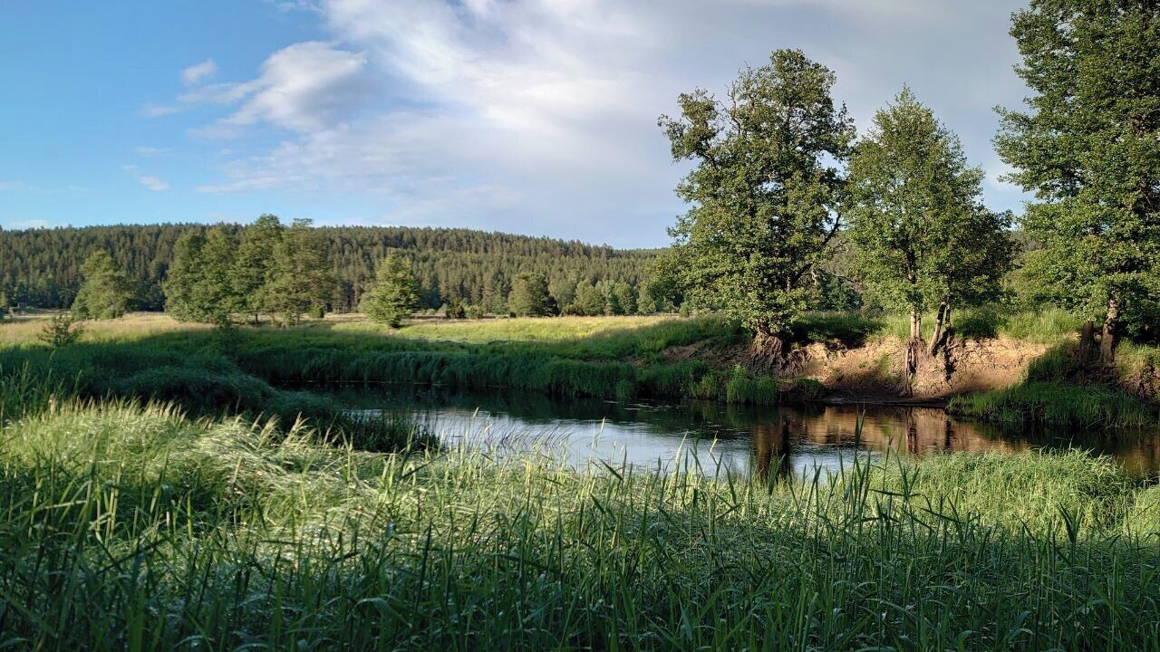 Photo of Outdoor in Jarnforsen