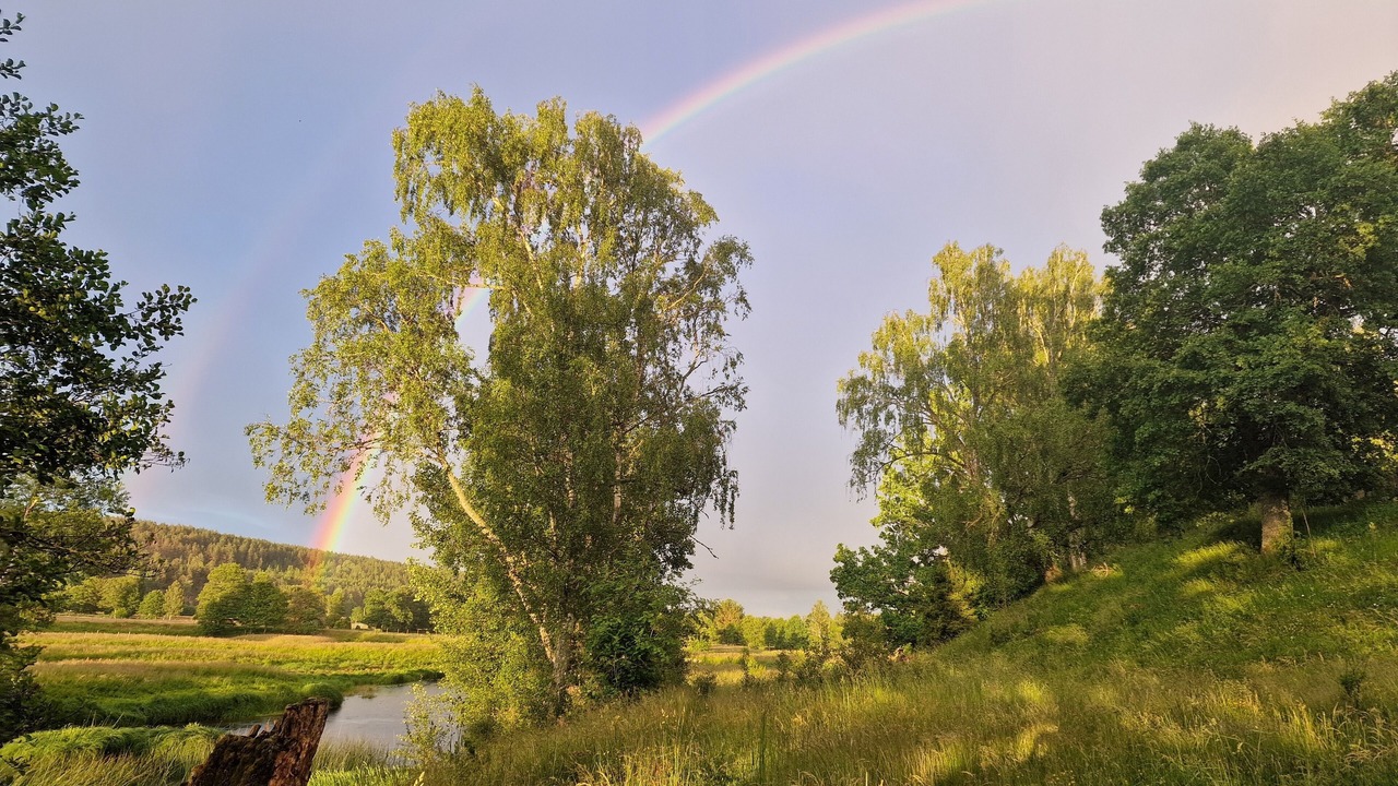Photo of Others in Jarnforsen