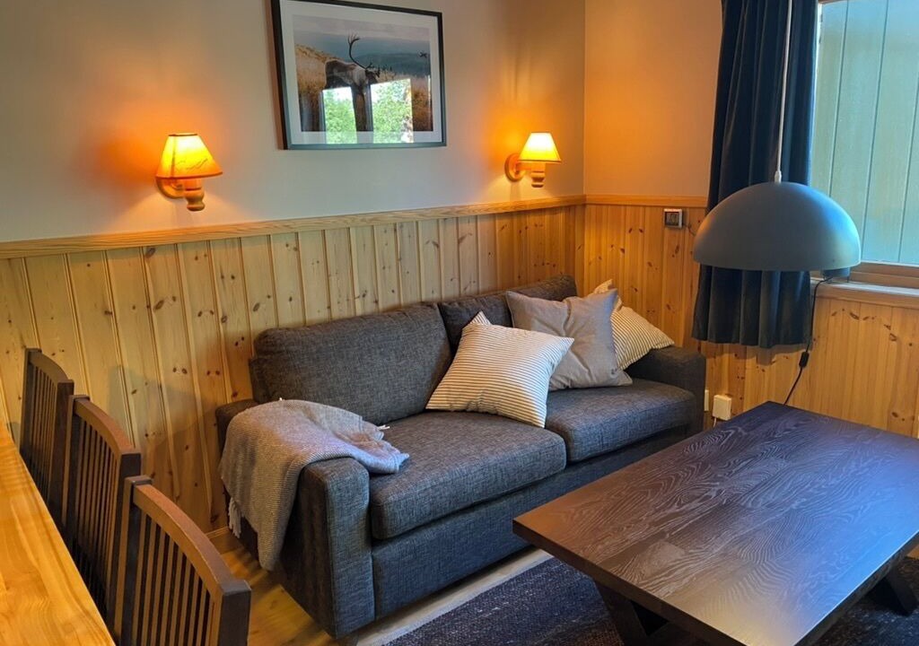 Photo of Livingroom in Idre