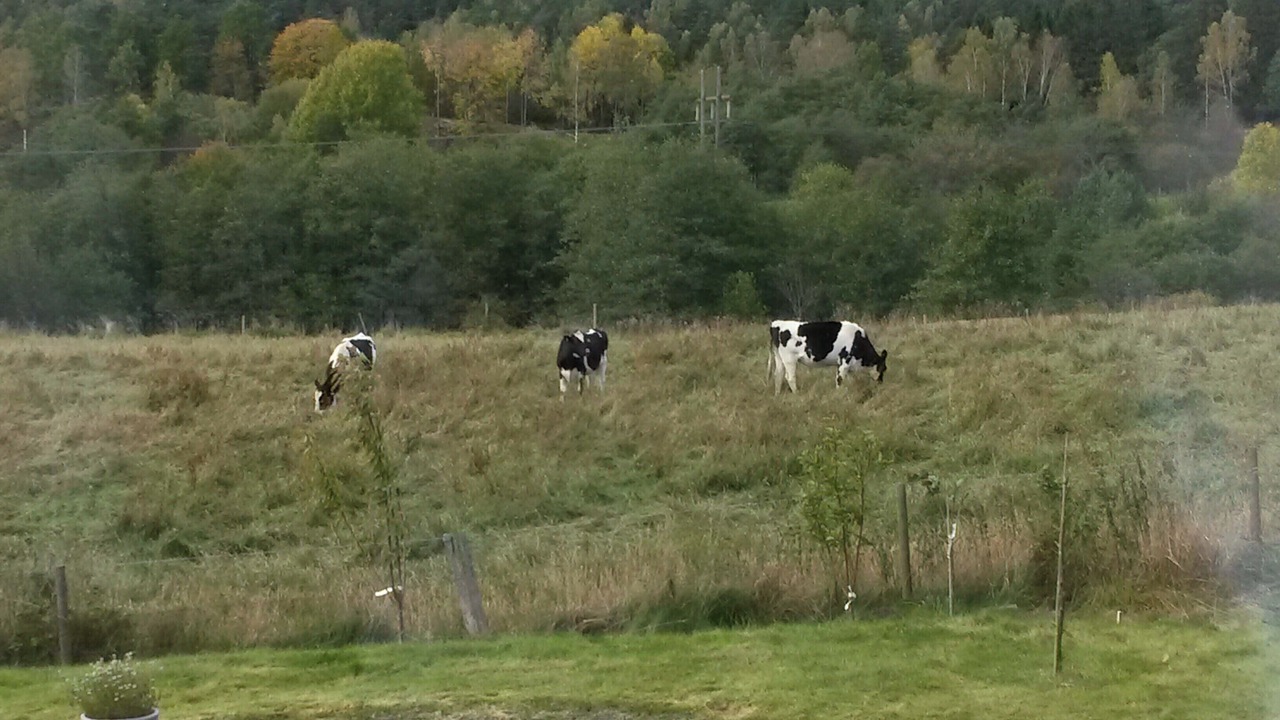 Photo of Others in Partille