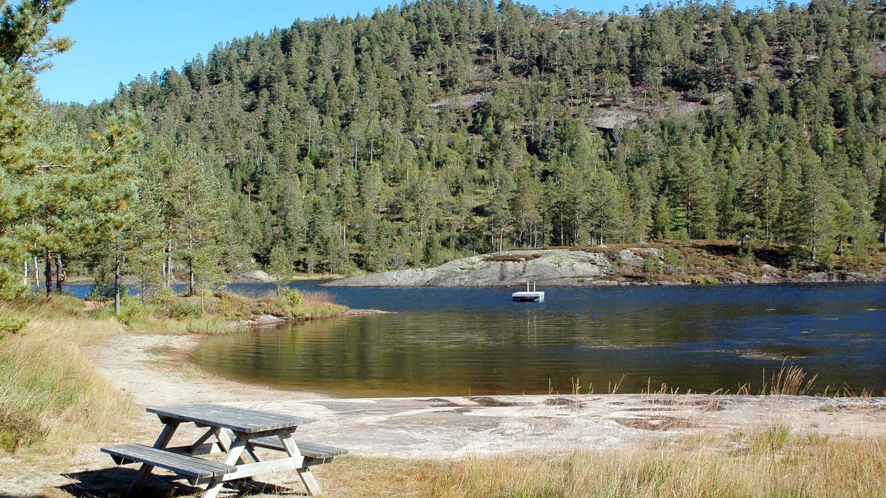 Photo of Others in Nissedal