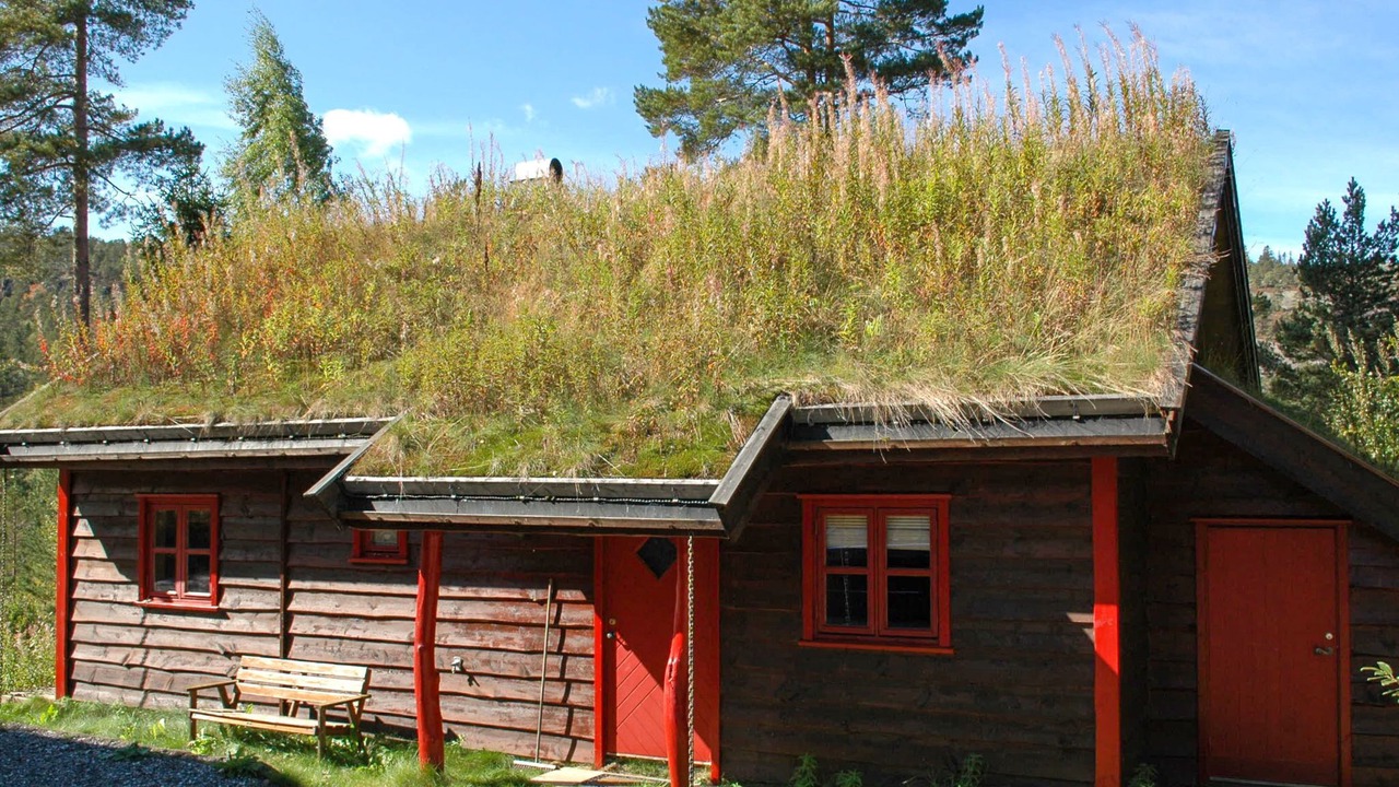 Photo of Others in Nissedal