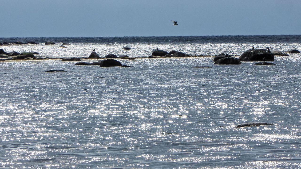 Photo of Others in Farsund