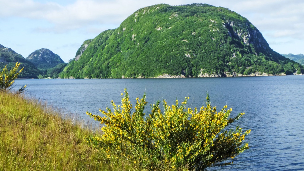Photo of Others in Farsund